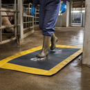Disinfectant Mats for Food Manufacturing & Livestock Care