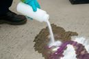 Premium Alkali Neutralising Powder for Safe and Efficient Spill Management with Built-in Indicator System | 0.9KG | BS 7959 | UK