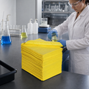 Lightweight Polypropylene Chemical Absorbent Mats, 40 x 50 cm, 160 L Absorption Capacity, for Laboratory & Maintenance Use (200 Pieces)