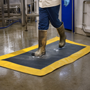 Disinfectant Mats for Food Manufacturing & Livestock Care