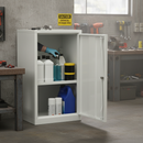 Acid & Alkali Cabinet 22kg 457mm x 457mm x 762mm for Chemical Storage